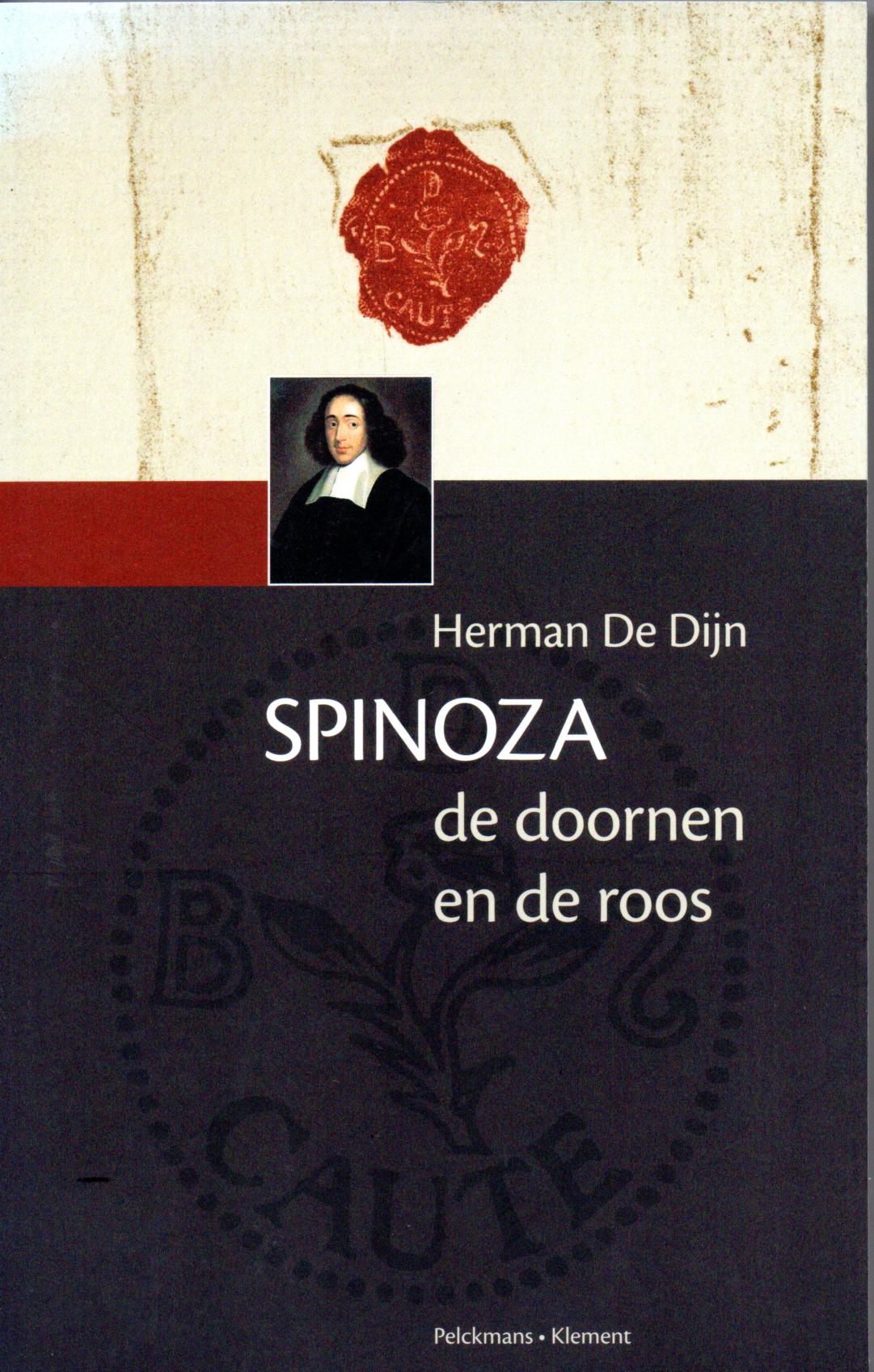 Dijn, Herman de, Spinoza de doornen en de roos