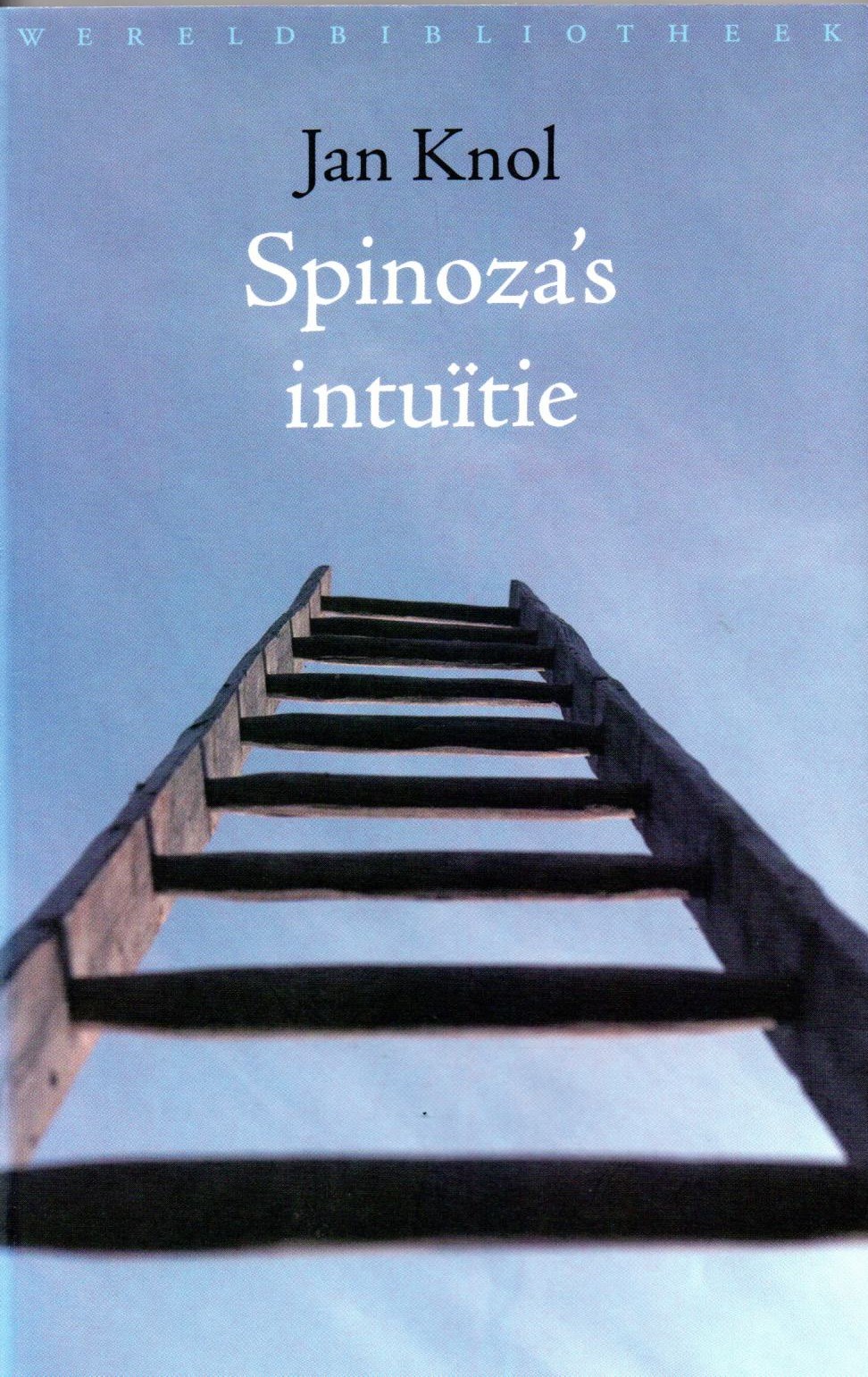 Knol, Jan, Spinoza's intuitie